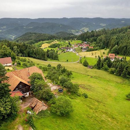 Gruener Ausblick Apartment Oberkirch  Luaran gambar