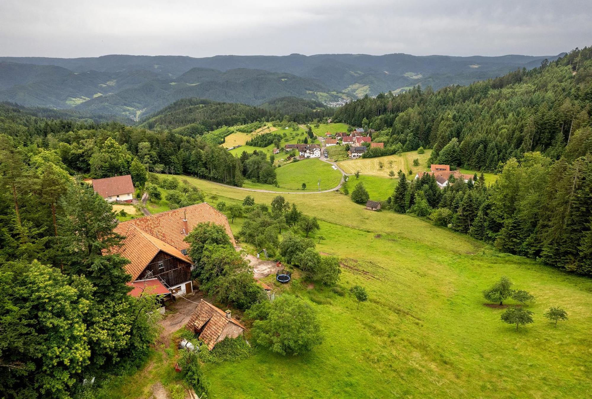 Gruener Ausblick Apartment Oberkirch  Luaran gambar