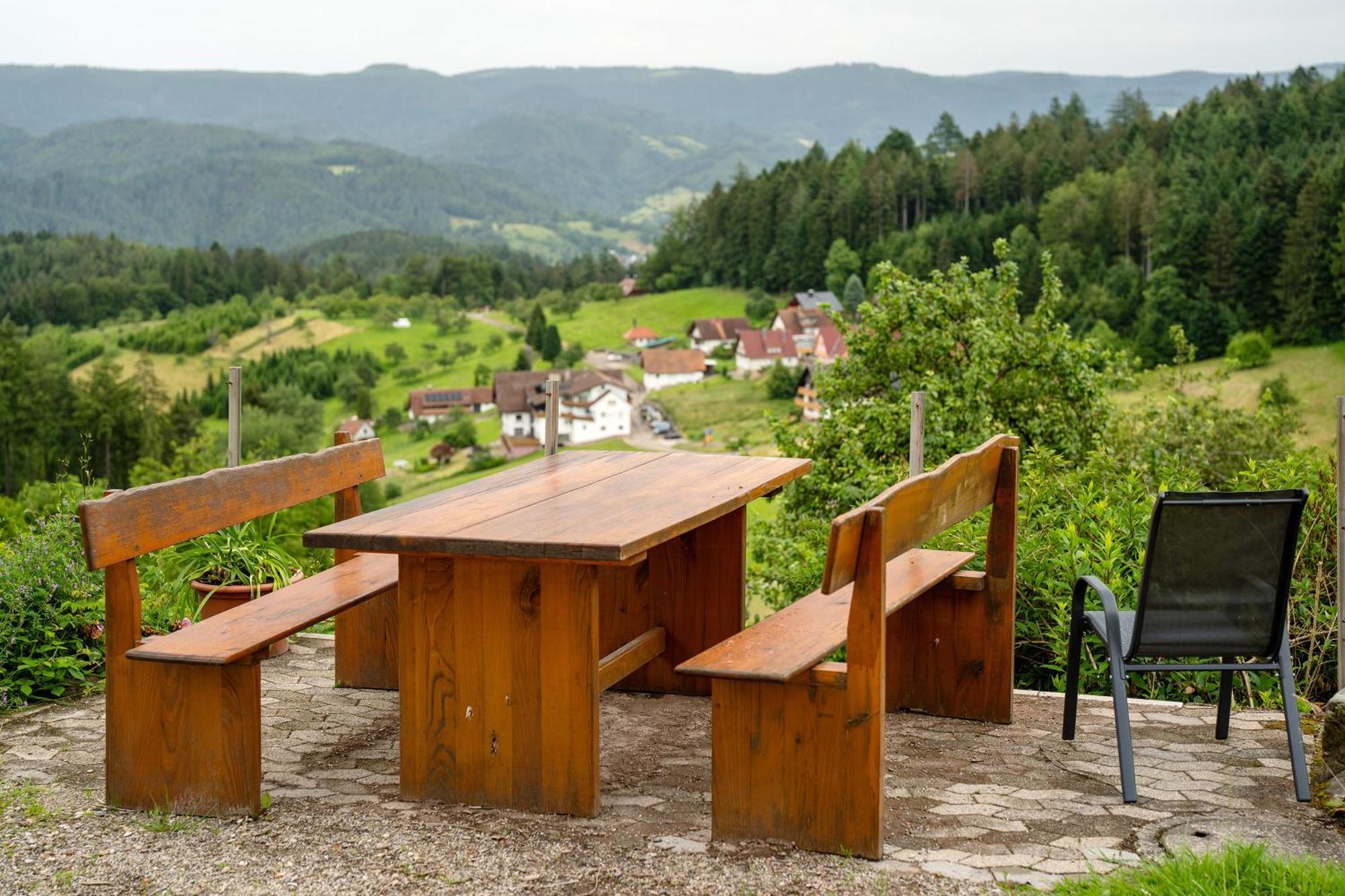 Gruener Ausblick Apartment Oberkirch  Luaran gambar
